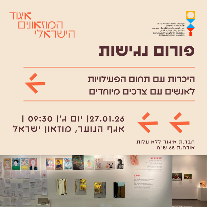 נגישות