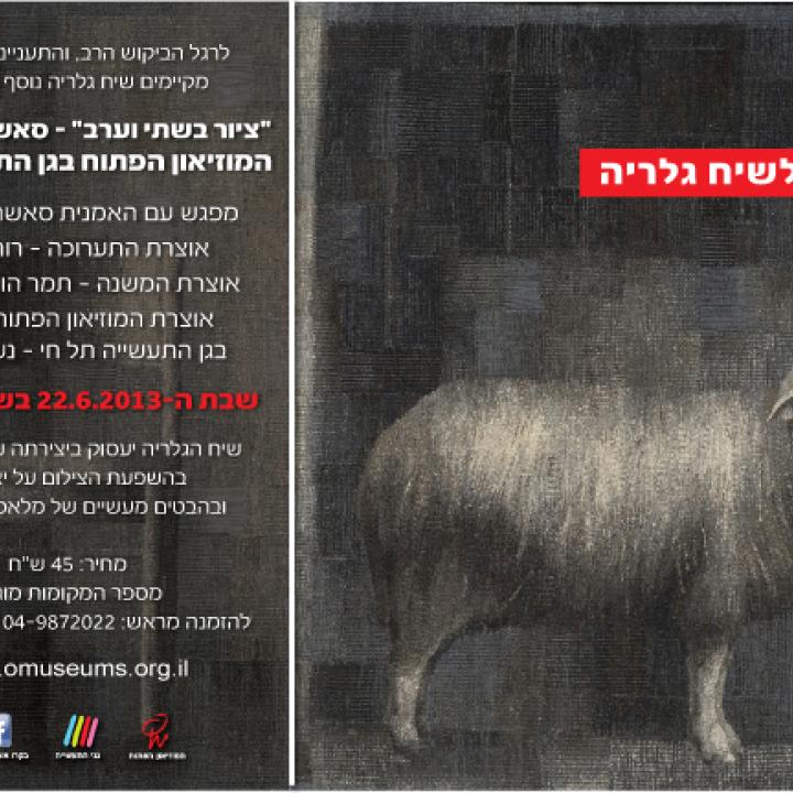  רשת סאשה-01