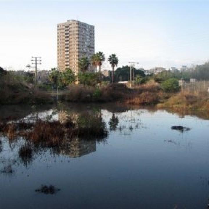 katan